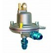 Facet Fuel pressure regulator - D06 connection