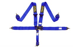 SFI racing harness